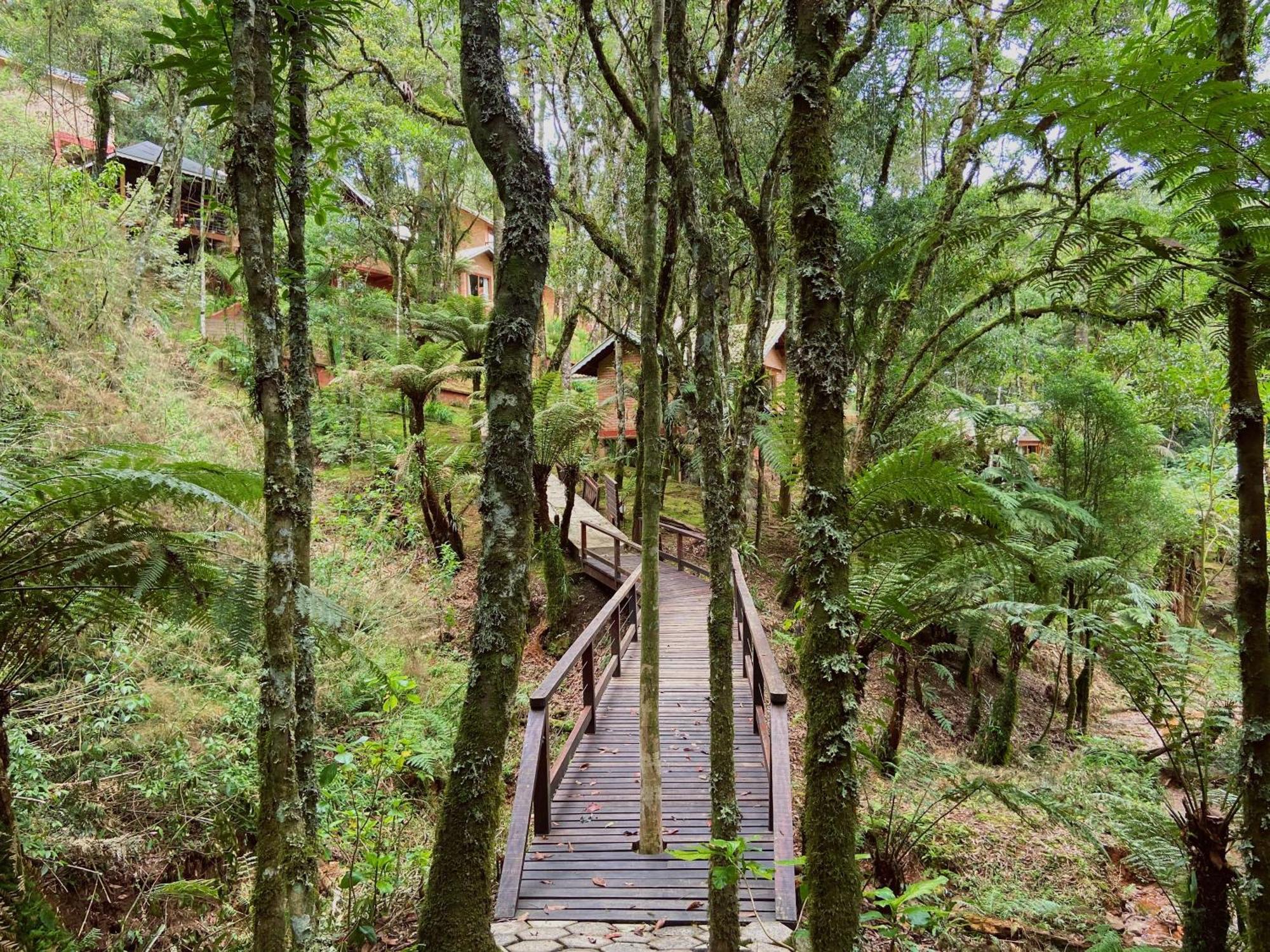 Vivie Pousada Monte Verde  Exterior photo